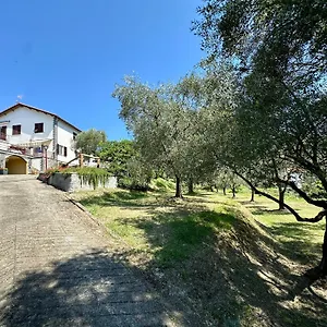 Uliveto Bartolomeo Bed & Breakfast