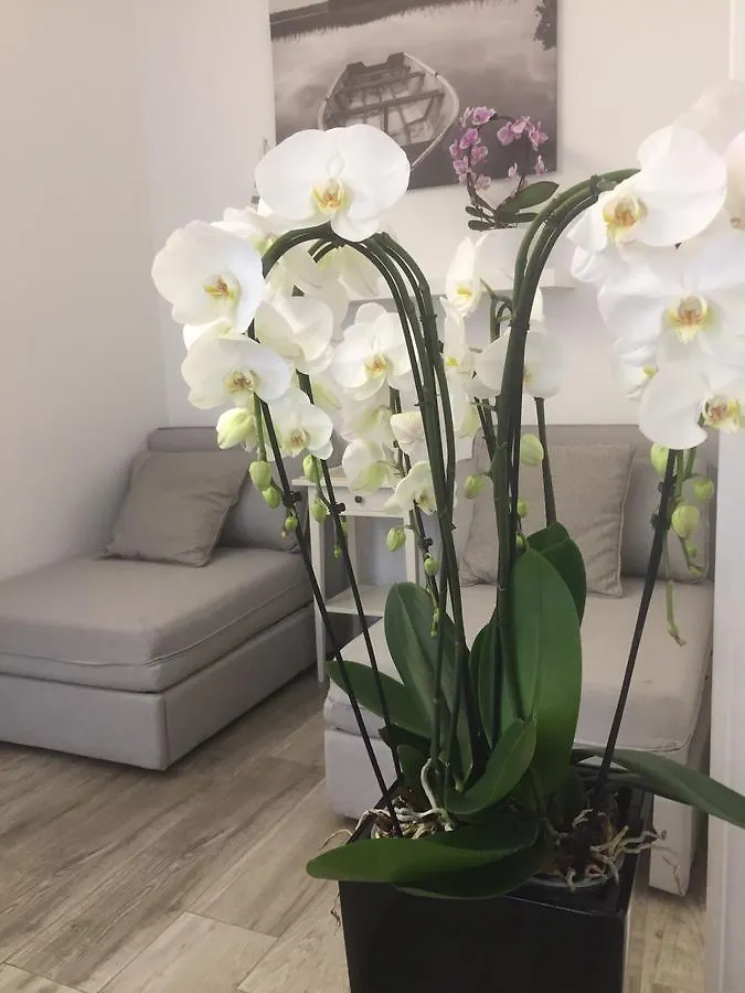 Ca' Du Ale Bed and Breakfast Sestri Levante Bed & Breakfast